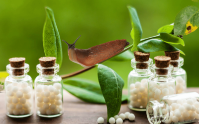 Homeopathy to keep your plants healthy