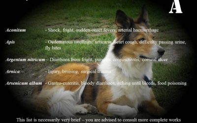 Homeopathic first aid for animals