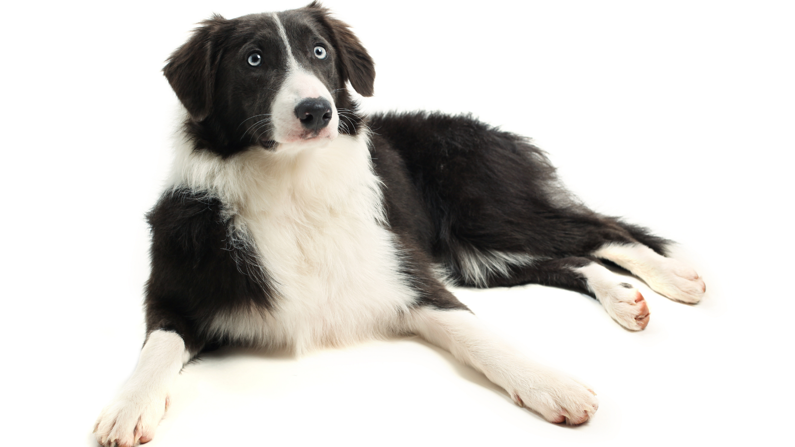 He was happier and more settled He was happier and more settled