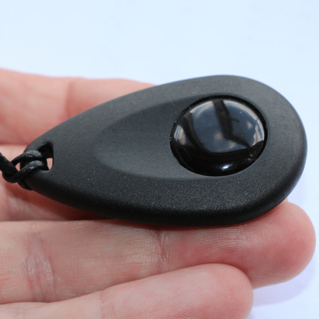 e-Pendant