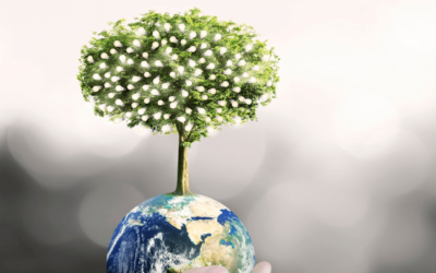 The effects can be life changing