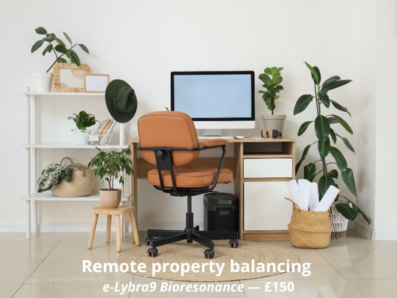 bioresonance property clearing